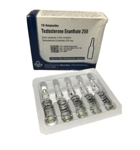 testosterone-enanathate-aburaihan-250
