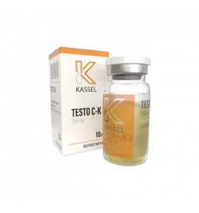 testo-c-kassel