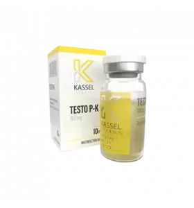 testo-p-k-kassel